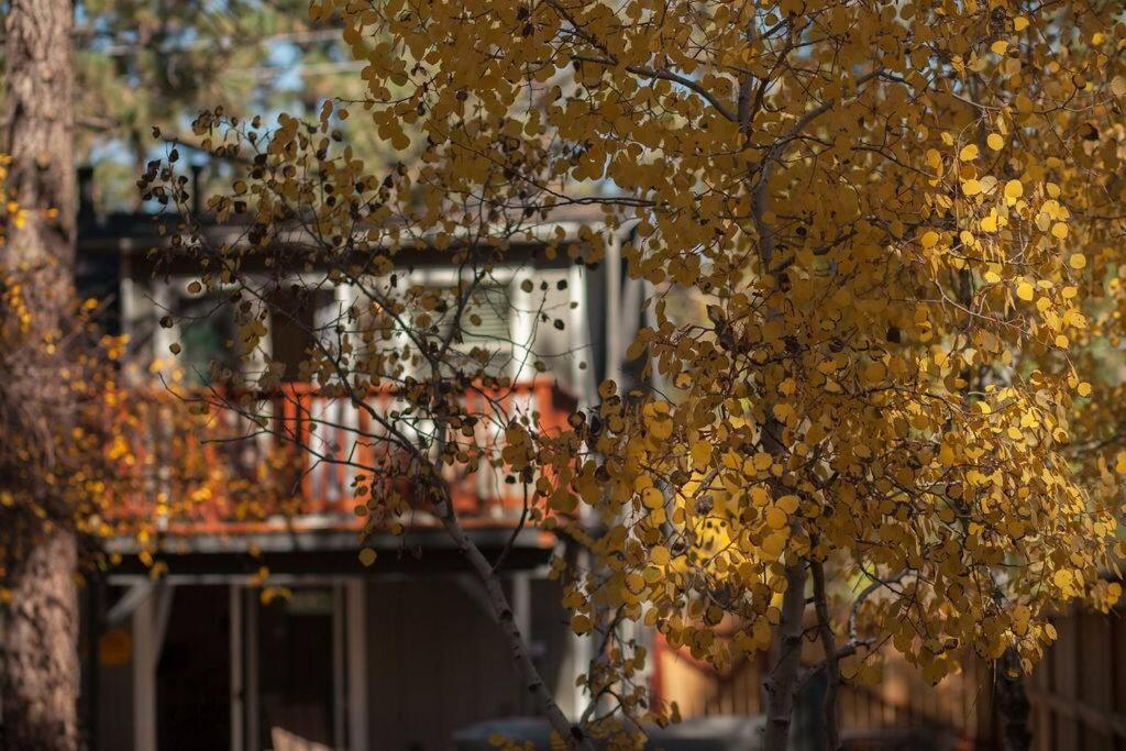 Cozy Cabin I King Bed I Fireplace I Hot Tub I Fenced Yard I Bbq Big Bear City Bagian luar foto